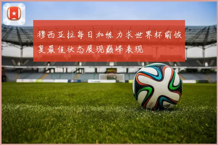 穆西亚拉每日加练力求世界杯前恢复最佳状态展现巅峰表现
