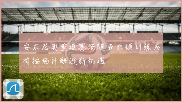安东尼奥重返赛场随查尔顿训练或将按场计酬迎新机遇